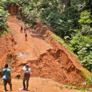 Stop An Illegal Road