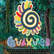 Guayusa Tea House