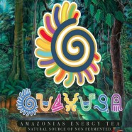 Guayusa Tea House